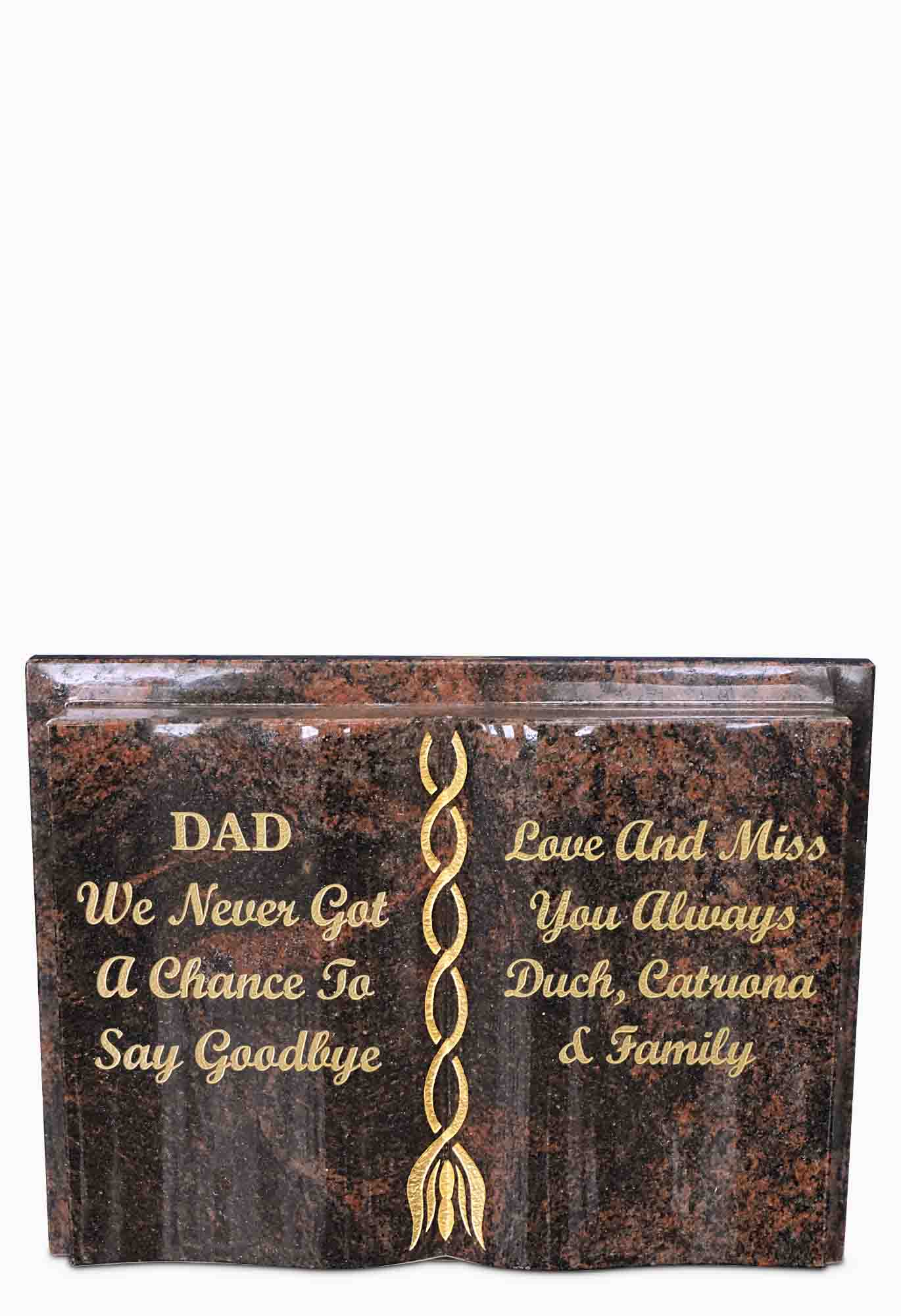 Aurora sculpted book